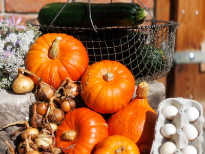 Bild 10 aus  Der Wassermannshof