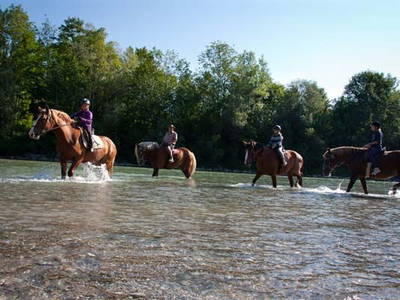 Bild 5 aus  Lamprechthof