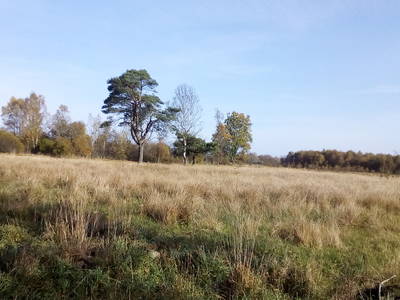 Bild 24 aus  Ferienhof Jansen