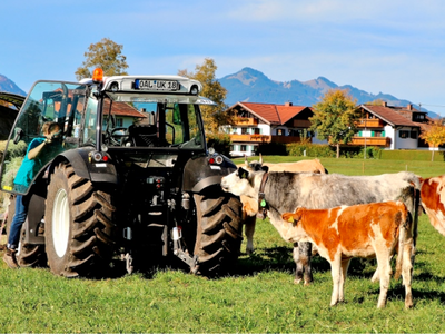 Bild 13 aus  Augustinerhof