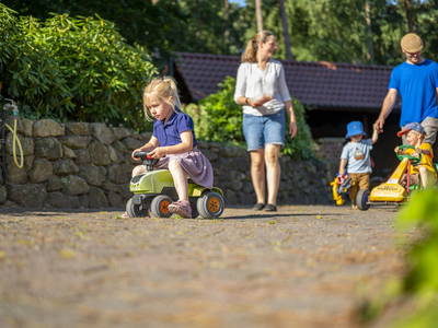 Bild 6 aus  Familienhof Brüning – Erlebnishofurlaub mit Tieren für Familien im Emsland