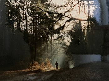 Traditionell mit dem Fahrrad zur Ostsee