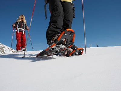 Bild 51 aus  Steinerhof