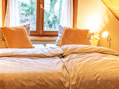 Bild 31 aus  Friedershof