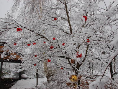 Bild 30 aus  Callhof Biohof