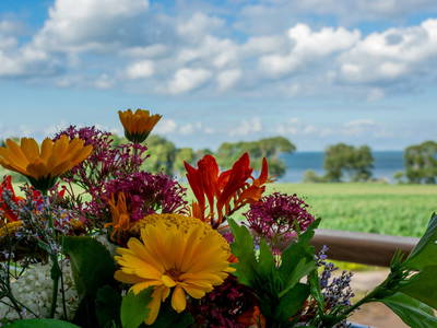 Bild 86 aus  LandSelection Ferienbauernhof Liesenberg mit traumhaften Meerblick