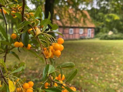 Bild 15 aus  Beekenhof