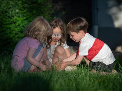 Bild 35 aus  LINDENHOF- BAUERNHOFURLAUB / OSTSEENÄHE