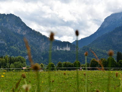 Bild 49 aus  Augustinerhof