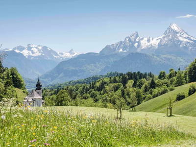 Bild 27 aus  Wiesenhäusl