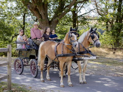 Bild 23 aus  LandSelection Hof Hardthöhe