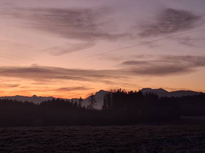 Bild 25 aus  Mojer Hof