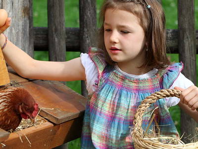 Bild 10 aus  Schingerhof