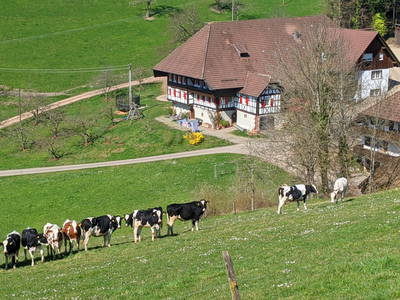 Bild 27 aus  Vogtbenedikthof im Schwarzwald