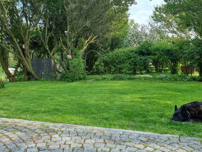 Bild 11 aus  Heverhus