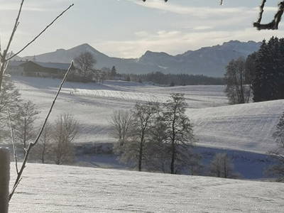 Bild 18 aus  Frankhof