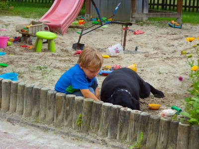 Bild 15 aus  Kleyhauers Ferienbauernhof