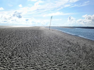 Bild 27 aus  Ferienhof Hasseler