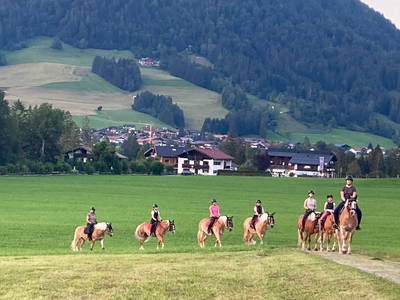 Bild 3 aus  Beim Draxl