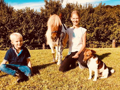 Bild 9 aus  Soodehof  Eins - Ihr Kinder-Erlebnisbauernhof in Nordhessen