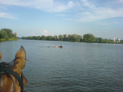 Bild 19 aus  Luisenhof Paretz