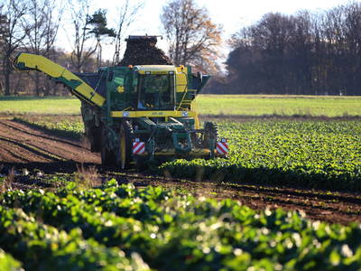 Bild 31 aus  Nordlichter