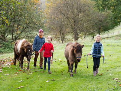 Bild 25 aus  Hof in Liebesdorf