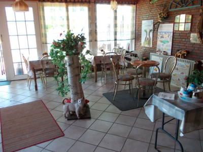 Bild 6 aus  Hof Janssen