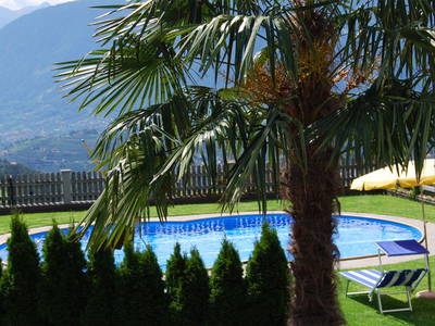 Bild 12 aus  Gasserhof B&B - Appartement