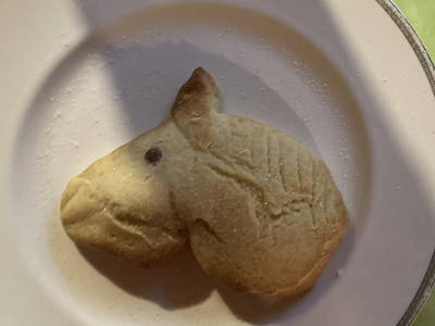 Bild 12 aus  Arabian Harmony