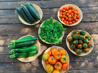 Bild 11 aus  Agriturismo Turudhis