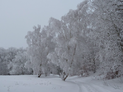 Bild 11 aus  Ferienhaus Melzow