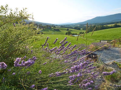 Bild 59 aus  Urlaub am Schoffahanslof im Bayerischen Wald: Natur, Abenteuer & Erholung für die ganze Familie“