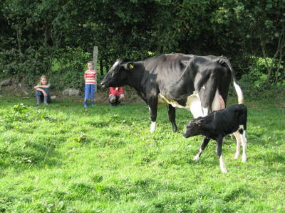 Bild 14 aus  Ferienhof Vennhof