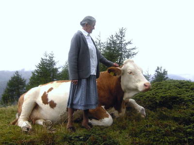 Bild 52 aus  Obere Michlbauerhütte