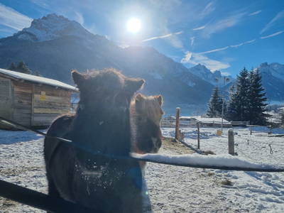 Bild 70 aus  Kassnhof