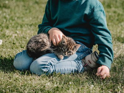 Bild 19 aus  Kimpelehof