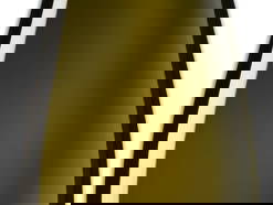 Bild 17 aus  Weingut Familie Schuster 