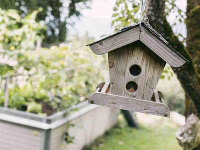 Bild 188 aus Bio- und Vitalbauernhof Bacherhof