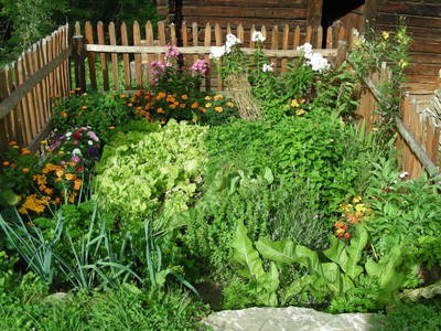 Bild 21 aus  Almerlebnisse Messner