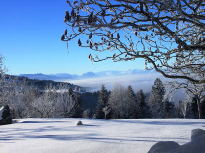 Bild 46 aus  Naturhof Innauer