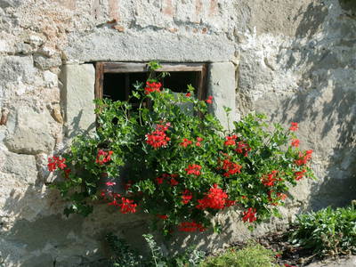 Bild 20 aus  Dorferhof