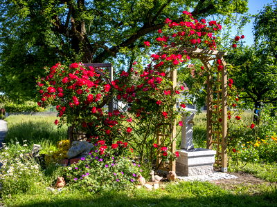 Bild 7 aus Bauernhof Webinger