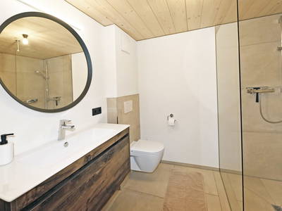 Bild 48 aus  UNSER VORSÄSS - Geisskopf