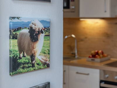 Bild 136 aus  Pleschinhof