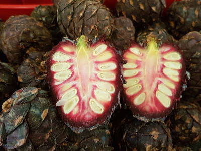 Bild 46 aus  Pürcherhof