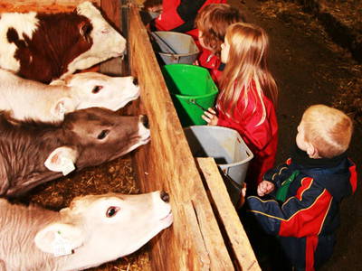 Bild 32 aus  Floachhof