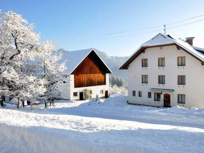 Bild 25 aus  Ferienhof Berger