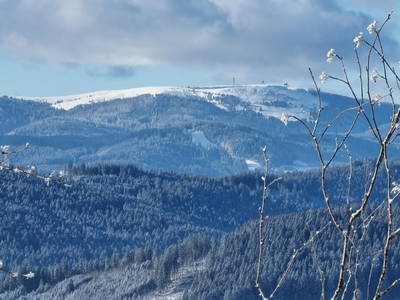 Blick zum Feldberg im Winter