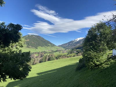 Bild 8 aus Neuhauserhof